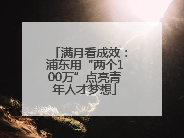 满月看成效：浦东用“两个100万”点亮青年人才梦想