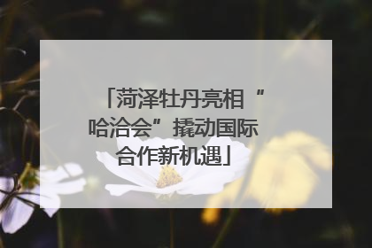 菏泽牡丹亮相“哈洽会”撬动国际合作新机遇