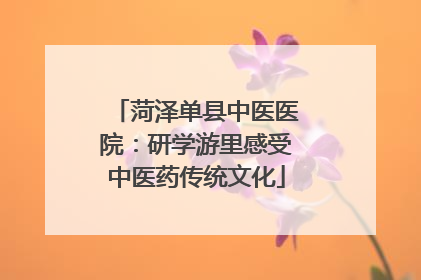菏泽单县中医医院：研学游里感受中医药传统文化