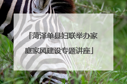 菏泽单县妇联举办家庭家风建设专题讲座