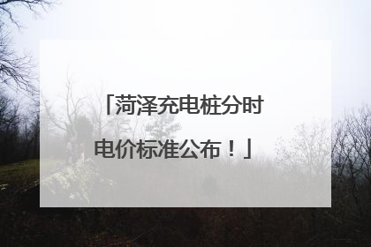 菏泽充电桩分时电价标准公布！