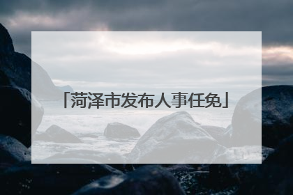 菏泽市发布人事任免