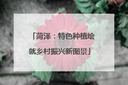 菏泽：特色种植绘就乡村振兴新图景