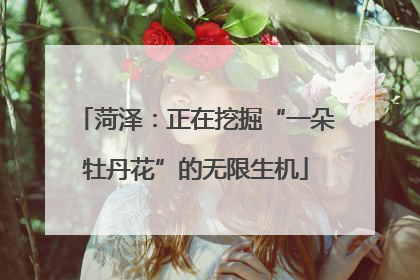 菏泽：正在挖掘“一朵牡丹花”的无限生机