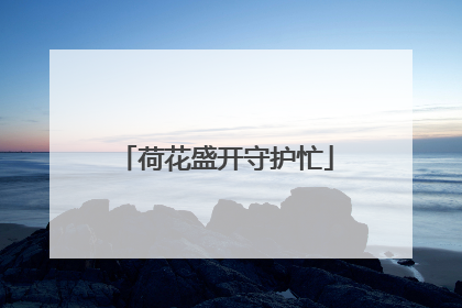 荷花盛开守护忙