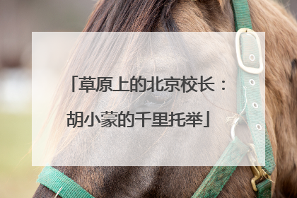 草原上的北京校长：胡小蒙的千里托举