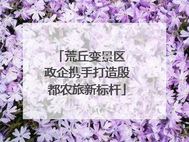 荒丘变景区 政企携手打造殷都农旅新标杆