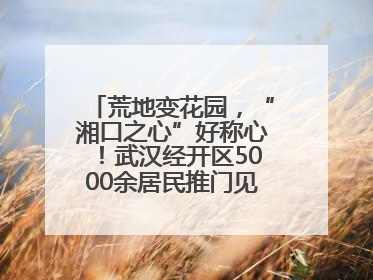 荒地变花园，“湘口之心”好称心！武汉经开区5000余居民推门见绿满眼风景