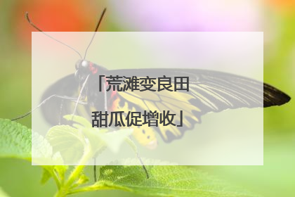 荒滩变良田 甜瓜促增收