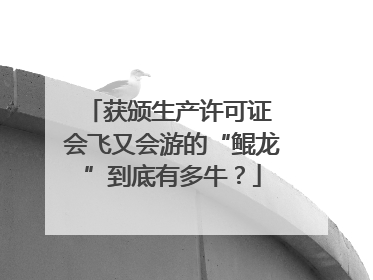 获颁生产许可证 会飞又会游的“鲲龙”到底有多牛？