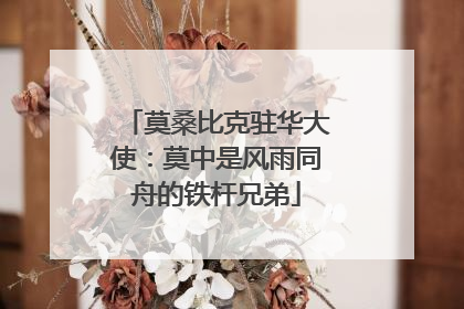 莫桑比克驻华大使：莫中是风雨同舟的铁杆兄弟