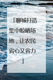 聊城打造集中晾晒场地，让农民省心又省力