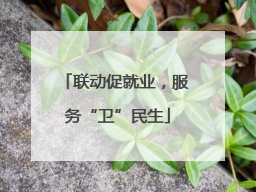 联动促就业，服务“卫”民生