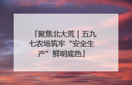 聚焦北大荒｜五九七农场筑牢“安全生产”鲜明底色