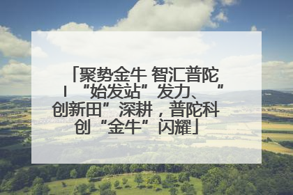 聚势金牛 智汇普陀〡“始发站”发力、“创新田”深耕，普陀科创“金牛”闪耀