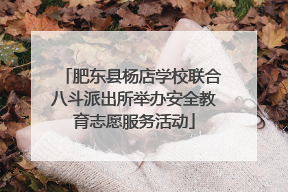 肥东县杨店学校联合八斗派出所举办安全教育志愿服务活动