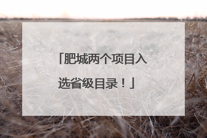 肥城两个项目入选省级目录！
