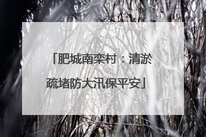 肥城南栾村：清淤疏堵防大汛保平安
