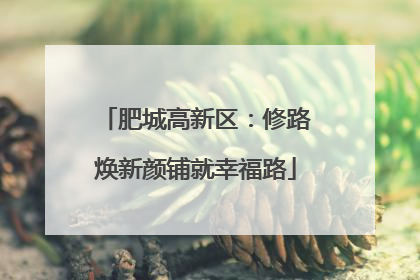 肥城高新区：修路焕新颜铺就幸福路