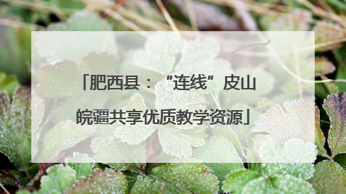 肥西县：“连线”皮山 皖疆共享优质教学资源