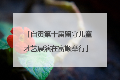 自贡第十届留守儿童才艺展演在富顺举行