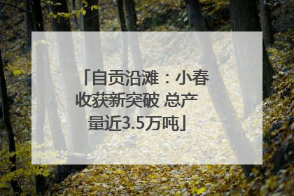 自贡沿滩：小春收获新突破 总产量近3.5万吨