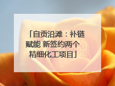 自贡沿滩：补链赋能 新签约两个精细化工项目