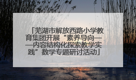 芜湖市解放西路小学教育集团开展“素养导向——内容结构化探索教学实践”数学专题研讨活动
