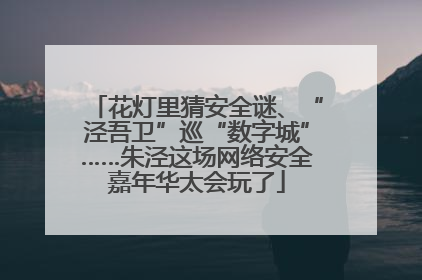花灯里猜安全谜、“泾吾卫”巡“数字城”……朱泾这场网络安全嘉年华太会玩了