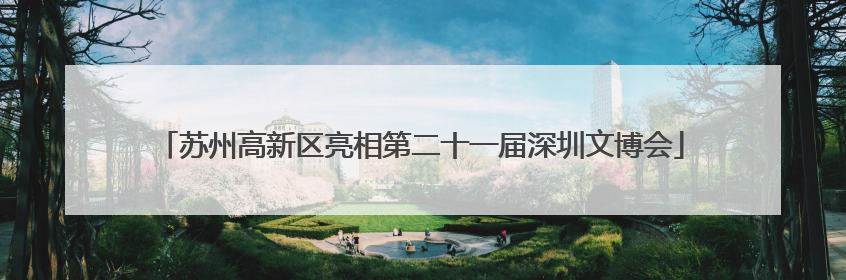 苏州高新区亮相第二十一届深圳文博会