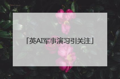 英AI军事演习引关注
