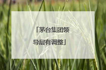 茅台集团领导层有调整