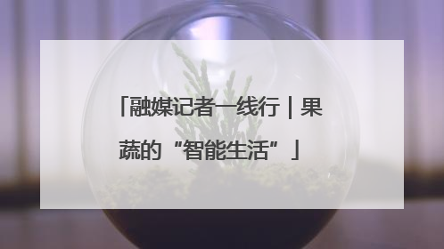 融媒记者一线行｜果蔬的“智能生活”