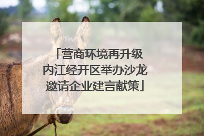 营商环境再升级 内江经开区举办沙龙邀请企业建言献策