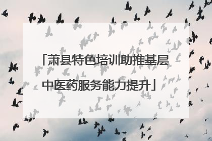 萧县特色培训助推基层中医药服务能力提升
