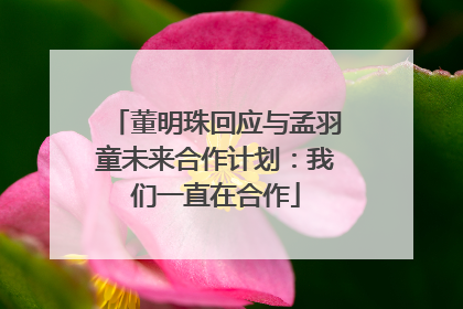 董明珠回应与孟羽童未来合作计划：我们一直在合作