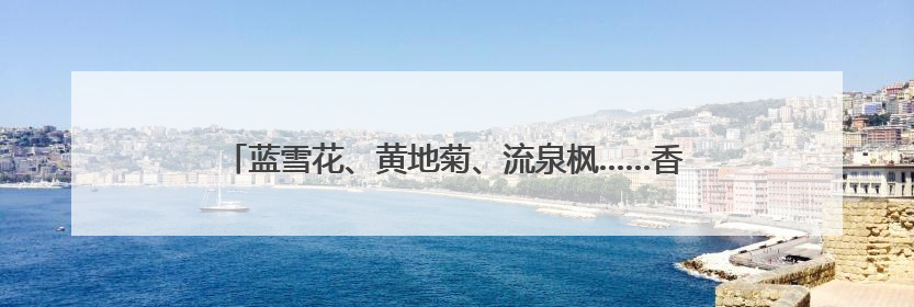 蓝雪花、黄地菊、流泉枫……香坊区首届百花园艺展6月末开展