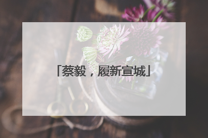 蔡毅，履新宣城