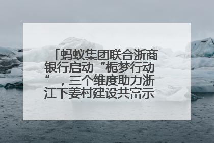 蚂蚁集团联合浙商银行启动“栀梦行动”，三个维度助力浙江下姜村建设共富示范区示范点