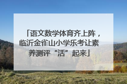 语文数学体育齐上阵，临沂金雀山小学乐考让素养测评“活”起来
