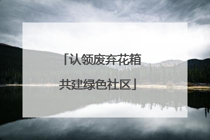 认领废弃花箱 共建绿色社区