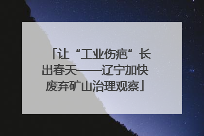 让“工业伤疤”长出春天——辽宁加快废弃矿山治理观察