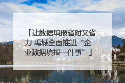 让数据填报省时又省力 禹城全面推进“企业数据填报一件事”