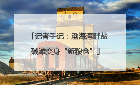 记者手记：渤海湾畔盐碱滩变身“新粮仓”