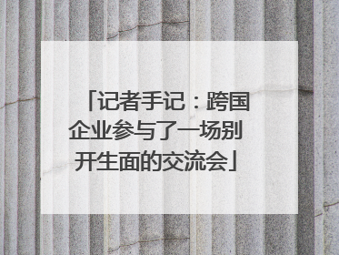 记者手记：跨国企业参与了一场别开生面的交流会