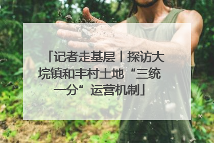 记者走基层丨探访大垸镇和丰村土地“三统一分”运营机制