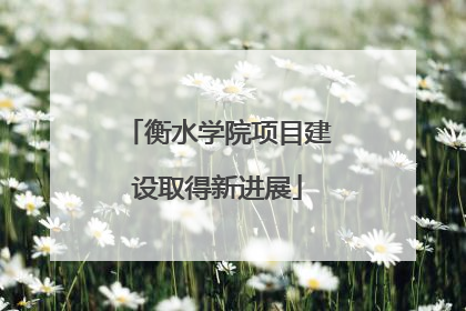 衡水学院项目建设取得新进展