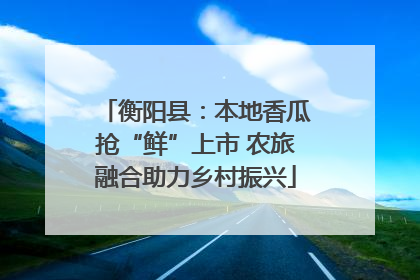衡阳县：本地香瓜抢“鲜”上市 农旅融合助力乡村振兴