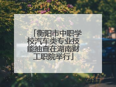 衡阳市中职学校汽车类专业技能抽查在湖南财工职院举行