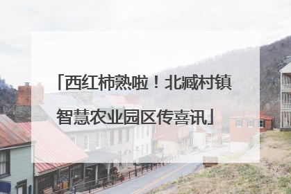 西红柿熟啦！北臧村镇智慧农业园区传喜讯